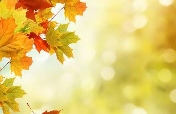 秋天的句子短句唯美 描写秋天景色优美句子