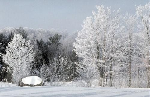 冬天唯美的冬天的句子 写冬天唯美的句子