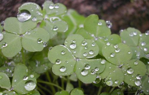 表达下雨天的说说心情 适合雨天的说说